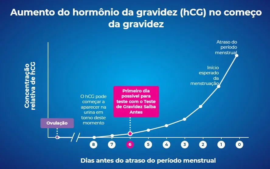 Teste de Gravidez - Guia atualizado - 2024 - Gráfico mostrando o aumento do hormônio HCG durante o teste de gravidez
